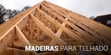 Guia Eucalipto